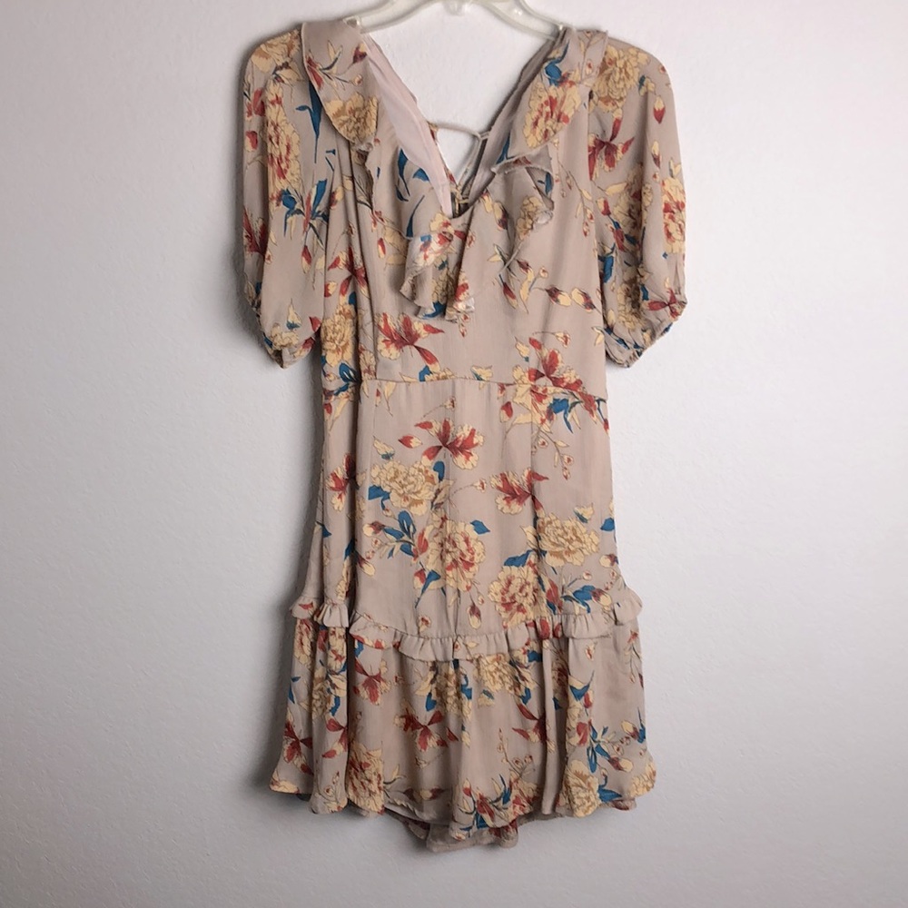 Angel Biba Sheer Ruffle Floral Mini Skater Dress